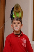 863h87oieh7jg74417b0t7dhc5-20101128081414-985104-180751.jpeg
